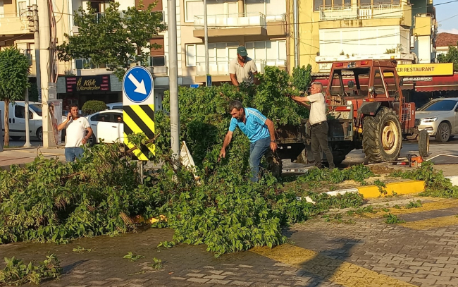 İzmir'de yağmur ve kuvvetli rüzgar nedeniyle ağaçlar devrildi